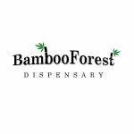 #bambooforestca Profile Picture